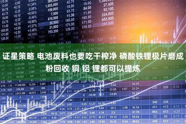 证星策略 电池废料也要吃干榨净 磷酸铁锂极片磨成粉回收 铜 铝 锂都可以提炼