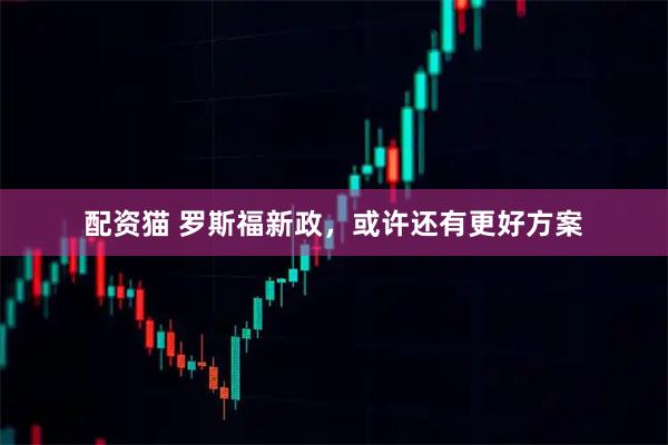 配资猫 罗斯福新政，或许还有更好方案